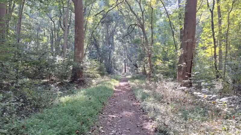 Funks Pond Recreational Area - Conowingo, MD