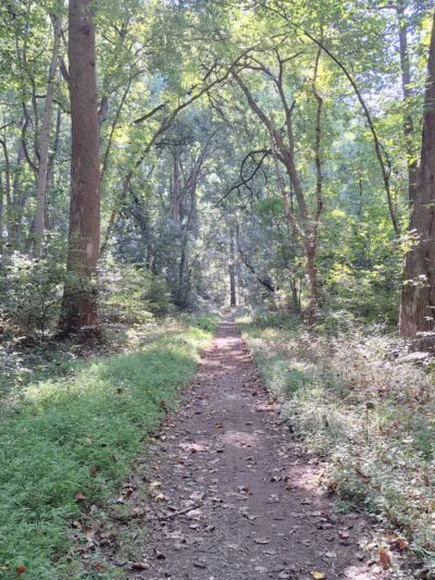 Funks Pond Recreational Area - Conowingo, MD
