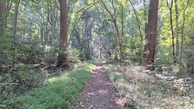 Funks Pond Recreational Area - Conowingo, MD