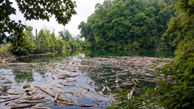 Funks Pond Recreational Area - Conowingo, MD