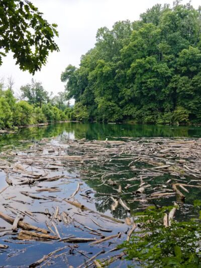 Funks Pond Recreational Area - Conowingo, MD