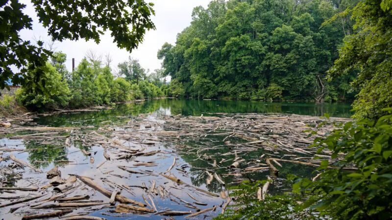 Funks Pond Recreational Area - Conowingo, MD