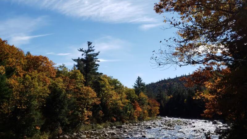 Blackberry Crossing Campground - Conway, NH