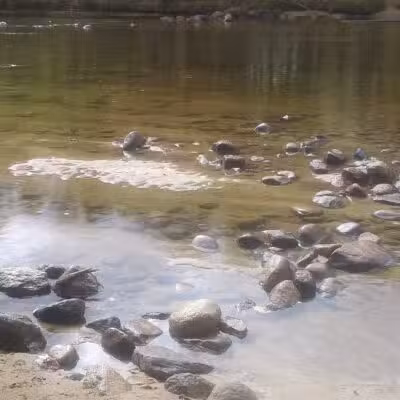Davis Park Recreation Area - Conway, NH