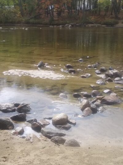 Davis Park Recreation Area - Conway, NH