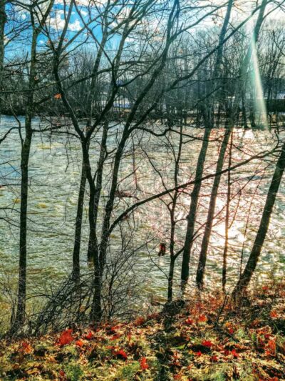 Davis Park Recreation Area - Conway, NH