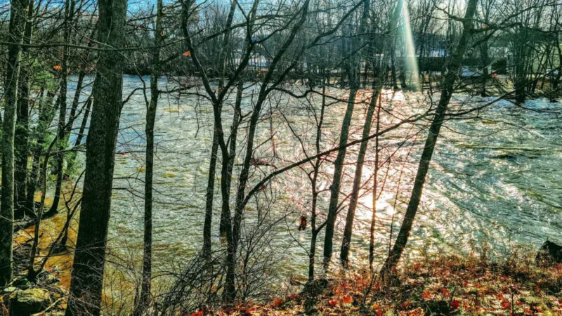 Davis Park Recreation Area - Conway, NH