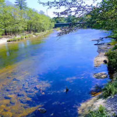 Davis Park Recreation Area - Conway, NH