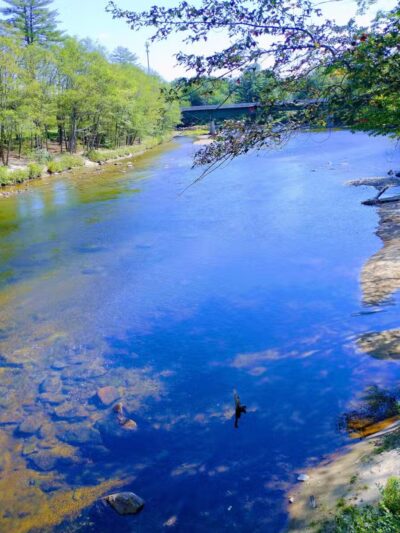 Davis Park Recreation Area - Conway, NH