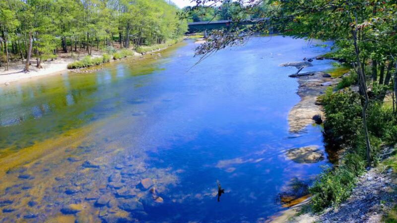 Davis Park Recreation Area - Conway, NH