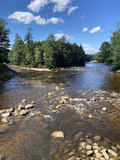Davis Park Recreation Area - Conway, NH