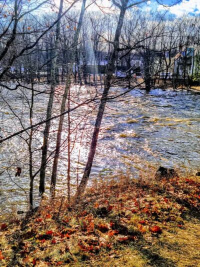 Davis Park Recreation Area - Conway, NH