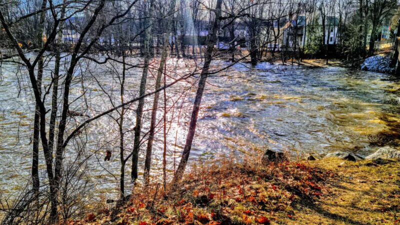 Davis Park Recreation Area - Conway, NH