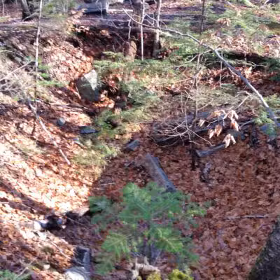 Marshall Conservation Area Trail Head - Conway, NH