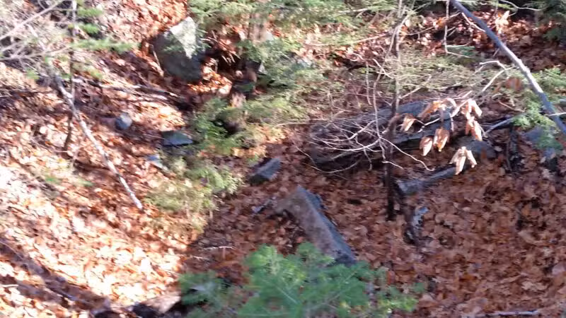 Marshall Conservation Area Trail Head - Conway, NH