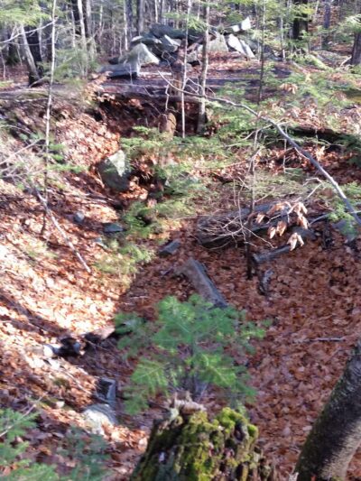Marshall Conservation Area Trail Head - Conway, NH