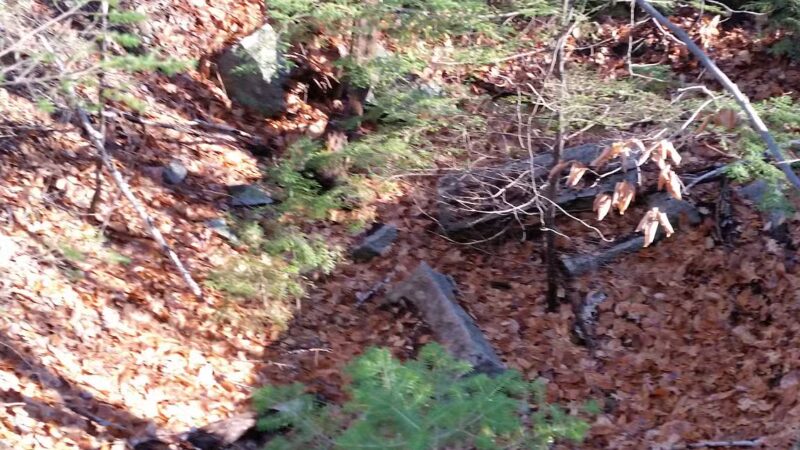 Marshall Conservation Area Trail Head - Conway, NH