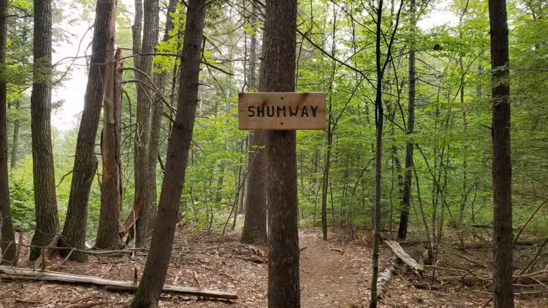 Marshall Conservation Area Trail Head - Conway, NH