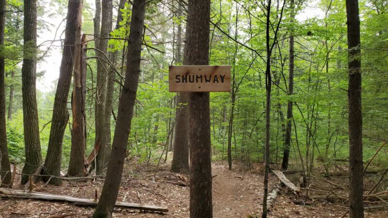 Marshall Conservation Area Trail Head - Conway, NH