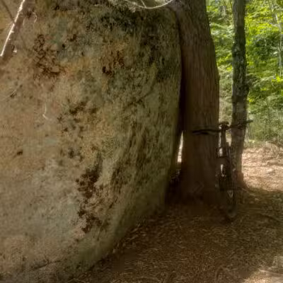 Marshall Conservation Area Trail Head - Conway, NH
