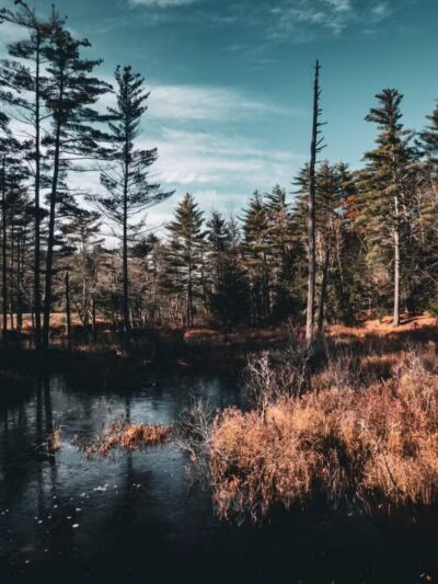 Mount Washington Valley Rec Path Trailhead - Conway, NH