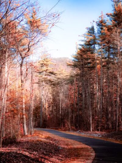 Mount Washington Valley Rec Path Trailhead - Conway, NH