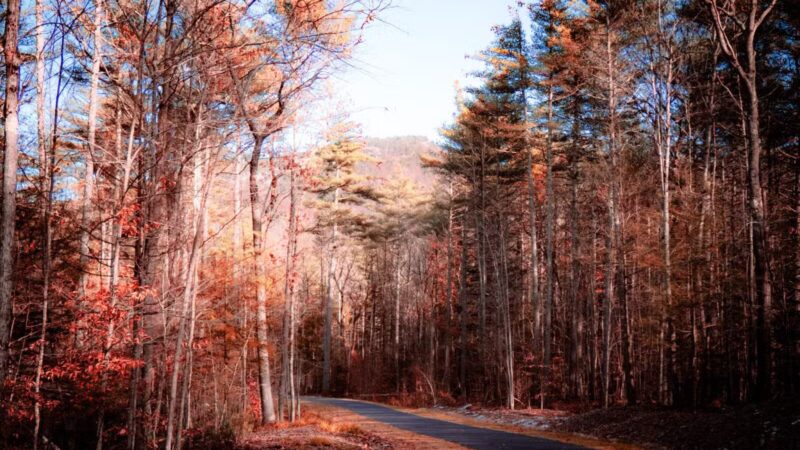 Mount Washington Valley Rec Path Trailhead - Conway, NH