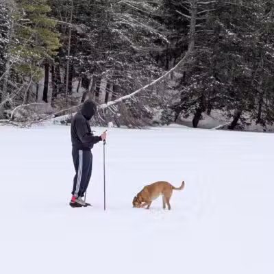 North Conway Recreation Path - Conway, NH