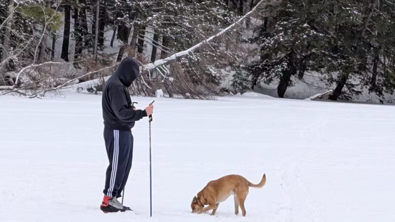 North Conway Recreation Path - Conway, NH
