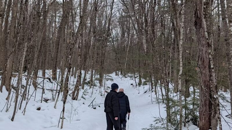 North Conway Recreation Path - Conway, NH