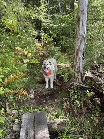 North Conway Recreation Path - Conway, NH