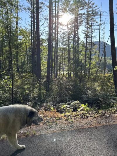 North Conway Recreation Path - Conway, NH
