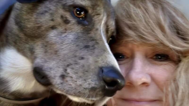 The Bark Park - Corinth, TX