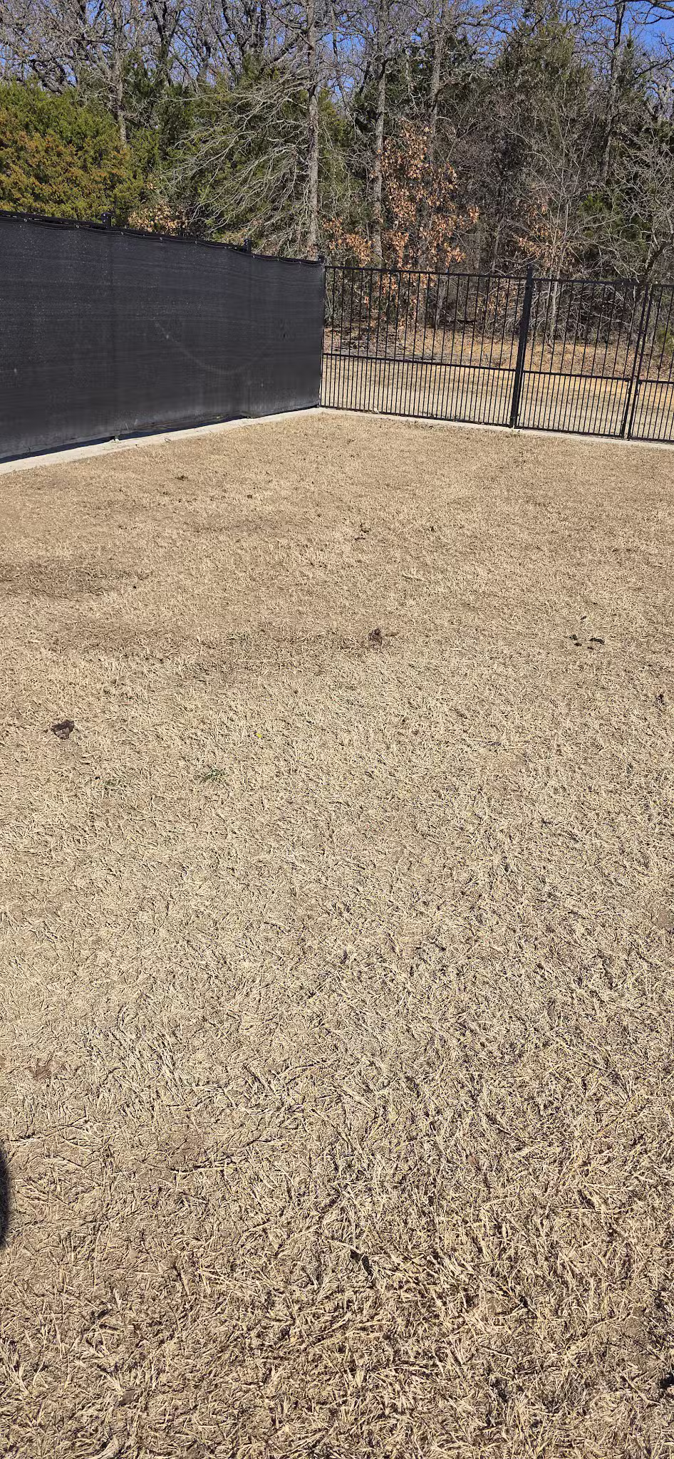 The Bark Park - Corinth, TX