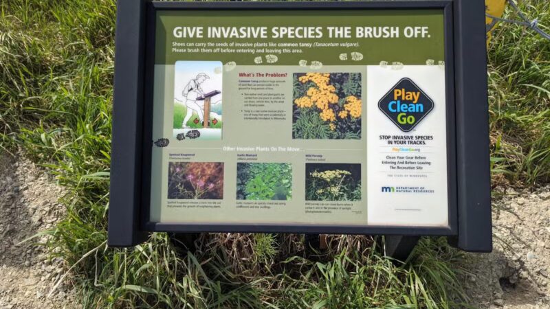 Sax WMA Hunter Walking Trail - Cotton, MN