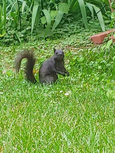 Peterson Park - Council Bluffs, IA