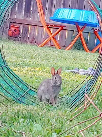 Peterson Park - Council Bluffs, IA