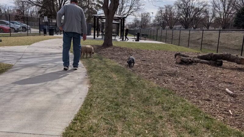 Valley View Dog Park - Council Bluffs, IA