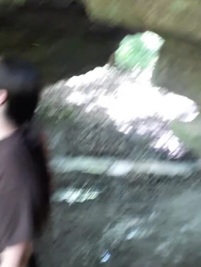 Portland Arch Nature Preserve (North Trail) - Covington, IN