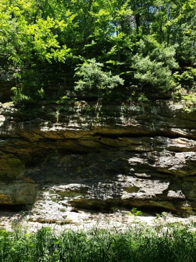 Portland Arch Nature Preserve (North Trail) - Covington, IN