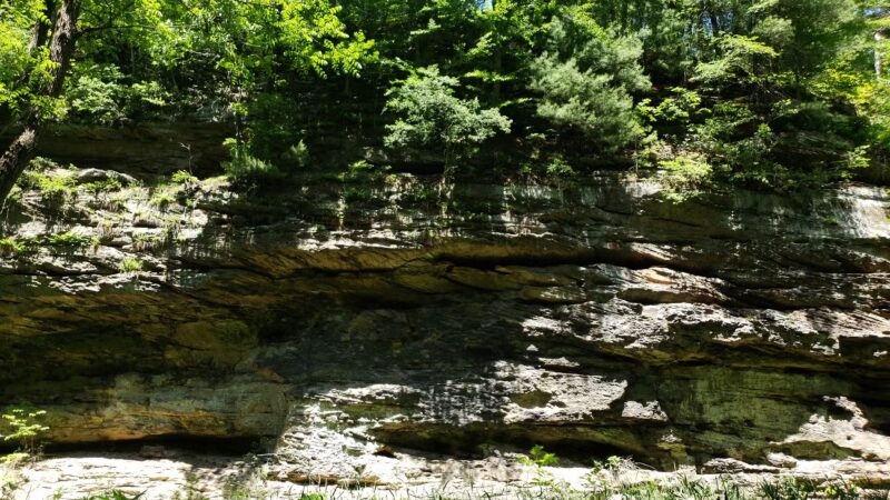 Portland Arch Nature Preserve (North Trail) - Covington, IN