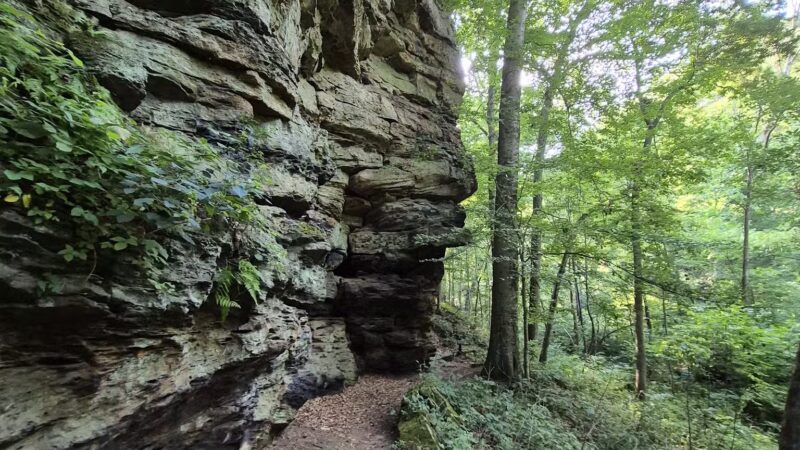 Portland Arch Nature Preserve (North Trail) - Covington, IN