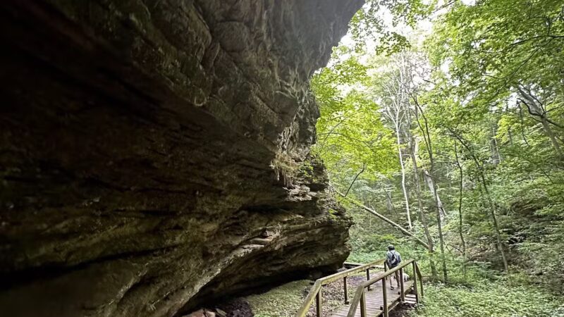 Portland Arch Nature Preserve (North Trail) - Covington, IN