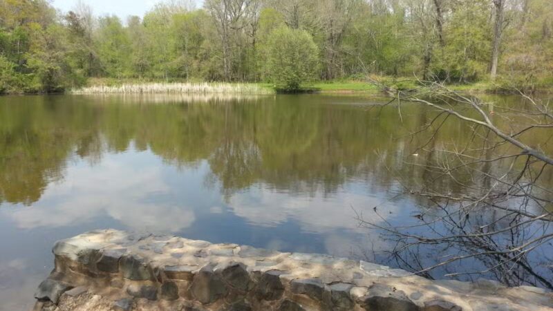 Lenape Park - Cranford, NJ