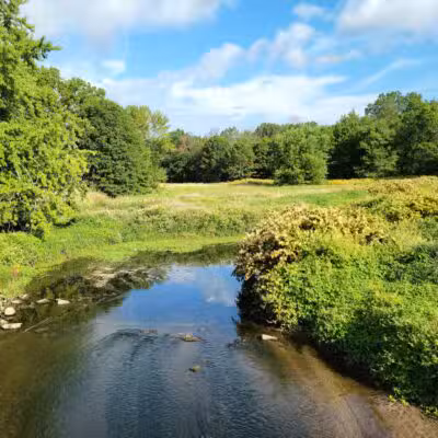 Lenape Park - Cranford, NJ
