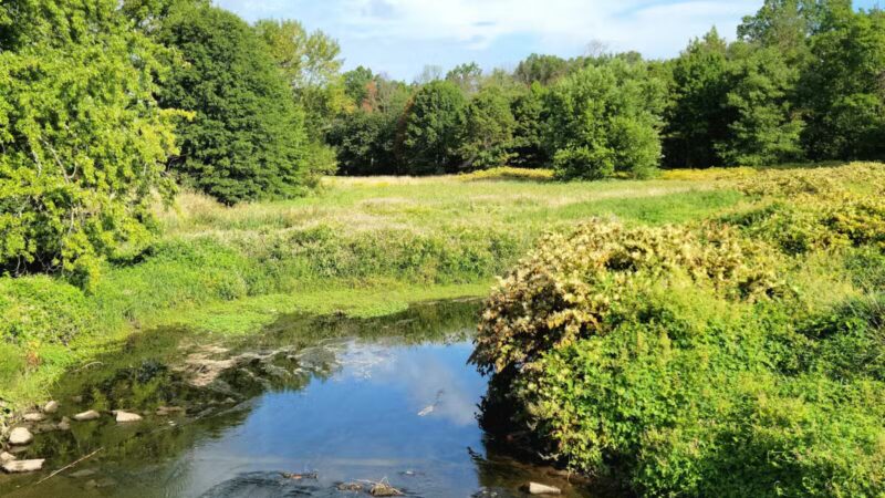 Lenape Park - Cranford, NJ