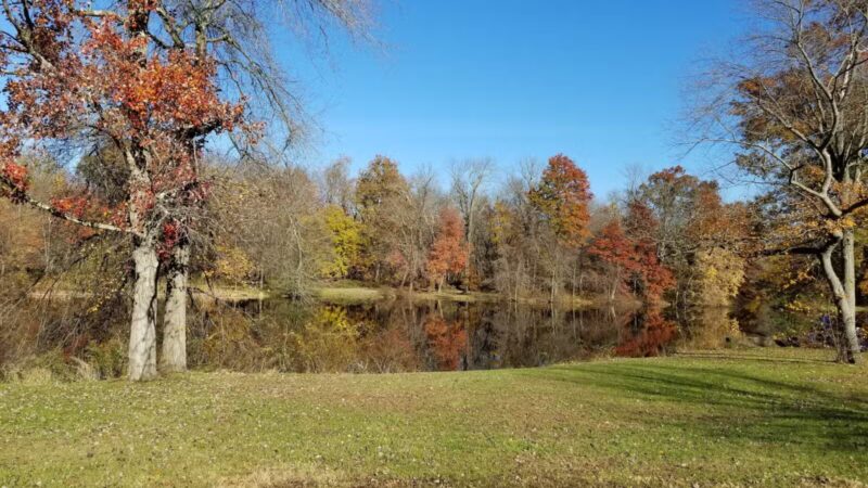 Lenape Park - Cranford, NJ