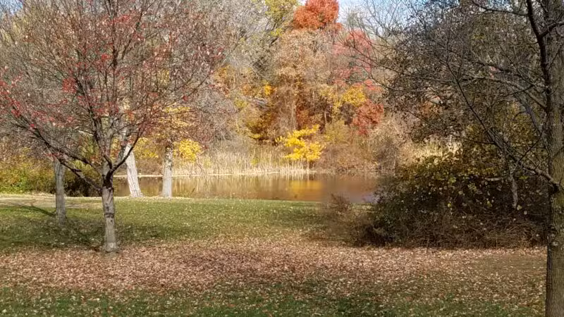 Lenape Park - Cranford, NJ