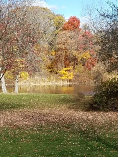 Lenape Park - Cranford, NJ