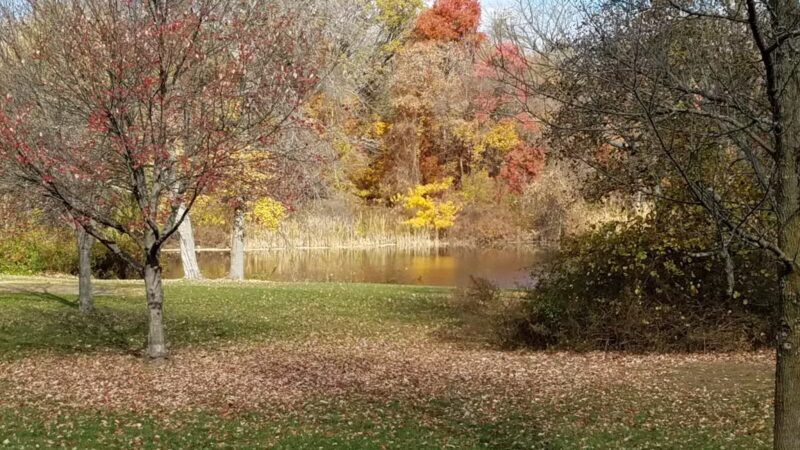 Lenape Park - Cranford, NJ